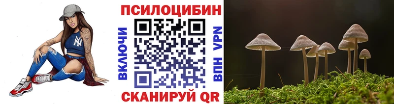 shop телеграм  наркота  Удомля  Псилоцибиновые грибы Psilocybe 
